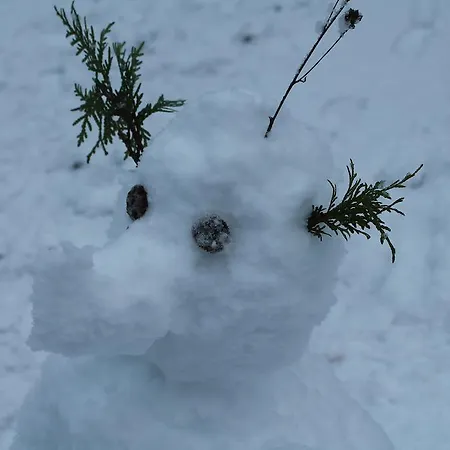 Willa Rautalahti Rautalahti