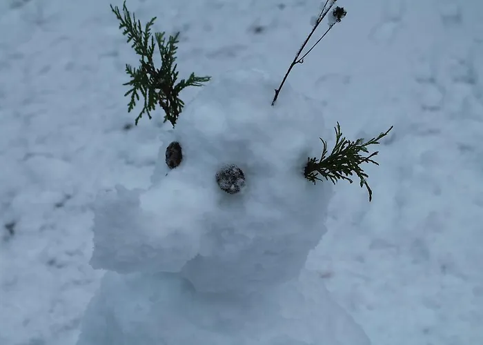 Willa Rautalahti Rautalahti