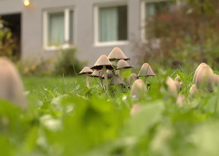 Willa Rautalahti Rautalahti